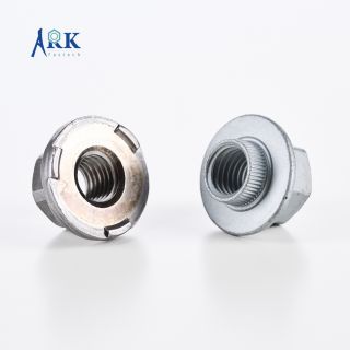 Hex Flange Nut-5339